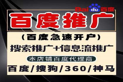 某电商平台的SEM营销推广实战经验